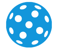 Pickleball Ball